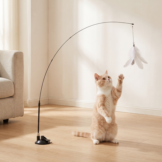 Cat Teaser Toy